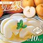 旬の梨 約10kg
