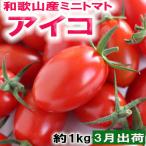 和歌山産ミニトマト アイコトマト 約1kg