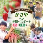 チケット かさや年間パスポート 2名