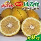 訳あり はるか 約9kg