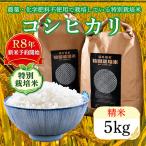 令和8年度産 特別栽培米コシヒカリ 5kg