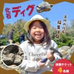 S188-004_化石ディグ利用券 4名様