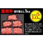 牛肉 宮崎牛切り落とし 1Kg