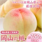 桃 岡山の約750g