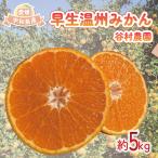 温州みかん 早生 みかん 5kg