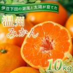 温州みかん 10kg
