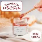 うれしいいちごジャム 250g×2個入り