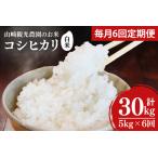 山崎観光農園のお米 コシヒカリ 白米5kg