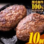 ハンバーグ 10個