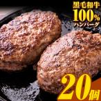 ハンバーグ 20個