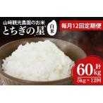 山﨑観光農園のお米 とちぎの星 白米5kg