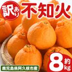 訳あり 露地栽培の不知火 約8kg