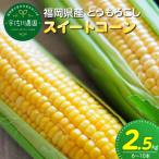 産とうもろこし 2.5kg