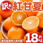 訳あり 紅甘夏 約18kg
