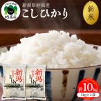令和8年産 妙高産 こしひかり 10kg
