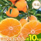 宮川 早生 みかん 約 10kg