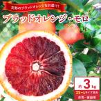 庄助農園のブラッドオレンジ モロ約3kg