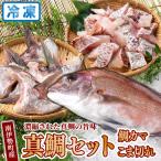 鯛カマ こま切れ 真鯛 セット