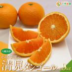 小林果園の清見 約9kg