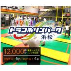 ご招待券12,000円分 カード 1,000円券×6枚 1,500円券×4枚