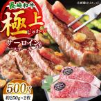 長崎和牛 サーロイン ステーキ 計500g