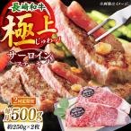 極厚 長崎和牛 サーロイン ステーキ 計1.0kg