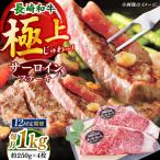 極厚 長崎和牛 サーロイン ステーキ 計12.0kg