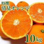 特撰 清見オレンジ 10kg+200g 補償分