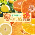 旬の柑橘定期便 年5回 柑橘 吉本農園 甘平