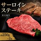 牛肉 サーロイン 黒毛和牛 ステーキ肉 1枚約250g 2枚