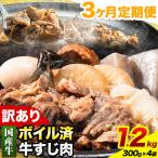 ★便利なボイル済★ 牛の牛すじ 牛筋 ボイル済 1.2kg
