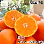 特選 セミノールオレンジ 3kg+200g