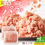 12回定期便 豚 ミンチ1kg ミンチ 豚肉