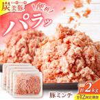 12回定期便 豚ミンチ 2kg
