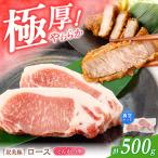 真空パック とんかつ用 ロース 500g