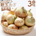 fu.... налог [ предшествующий предварительный заказ ] новый шар лук порей 3kg для бытового использования yr-0121 Kochi префектура . юг город 