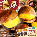 夢甘栗 焼き栗 3袋