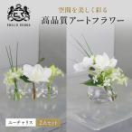 ユーチャリスセット エミリオロバ3W24S24