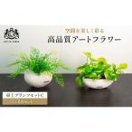 fu.... налог декоративное растение e milio * осел Asian tam pothos 2 позиций комплект искусственный цветок sidaS размер настольный искусственная зелень a-tifi автомобиль ru зеленый.. три слоя префектура название . город 