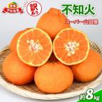 みかん 訳あり 不知火 デコポン と同品種 約 8kg