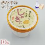 山海のアイス 100ml×10個