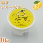 ゆず シャーベット 100ml×10個