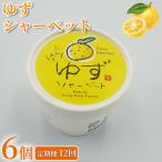 アイス ゆず シャーベット 72個