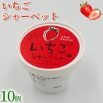 いちご シャーベット 100ml×10個