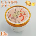 しょうがのアイス 100ml