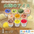 山海のアイス 100ml×10個