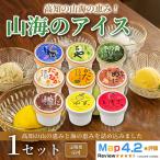 山海のアイス 100ml×10個