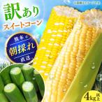 訳あり スイートコーン 品種問わず 4kg以上