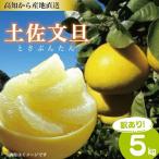 訳あり 土佐文旦 5kg