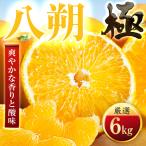 大人の柑橘 八朔 6kg